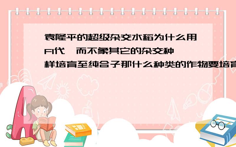 袁隆平的超级杂交水稻为什么用F1代,而不象其它的杂交种一样培育至纯合子那什么种类的作物要培育至纯合什么只培育至杂合