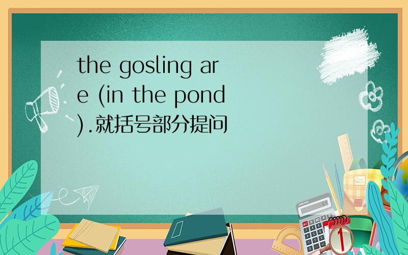 the gosling are (in the pond).就括号部分提问