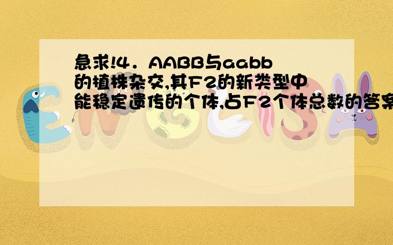 急求!4．AABB与aabb的植株杂交,其F2的新类型中能稳定遗传的个体,占F2个体总数的答案是1/8,为什么?