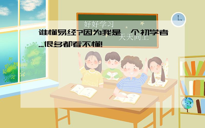 谁懂易经?因为我是一个初学者...很多都看不懂!