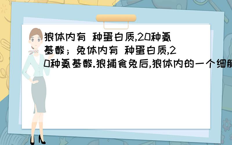 狼体内有 种蛋白质,20种氨基酸；兔体内有 种蛋白质,20种氨基酸.狼捕食兔后,狼体内的一个细胞中含有的蛋白质种类和氨基酸种类最可能是：A.a+b,40 B.a,20 C.大于a,20 D.小于a,20