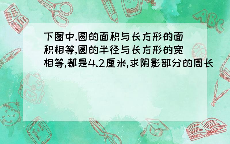 下图中,圆的面积与长方形的面积相等,圆的半径与长方形的宽相等,都是4.2厘米,求阴影部分的周长