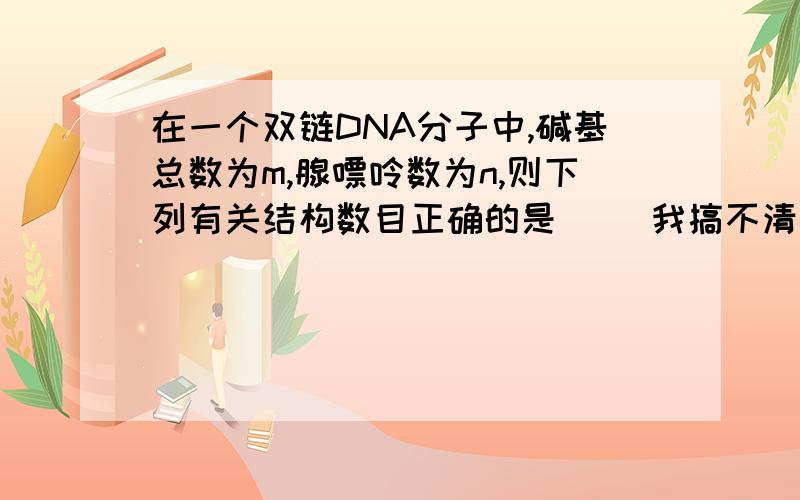 在一个双链DNA分子中,碱基总数为m,腺嘌呤数为n,则下列有关结构数目正确的是（ ）我搞不清楚这个：碱基之间的氢键数3m-2n/2