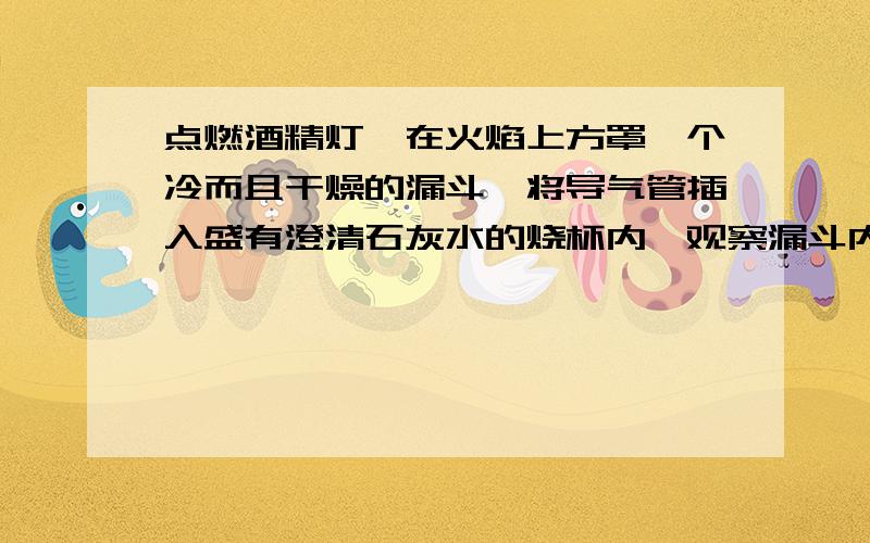 点燃酒精灯,在火焰上方罩一个冷而且干燥的漏斗,将导气管插入盛有澄清石灰水的烧杯内,观察漏斗内是否有_______出现；澄清石灰水是否变______.如果上述实验现象均产生,说明酒精中一定含有_