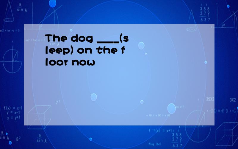 The dog ____(sleep) on the floor now