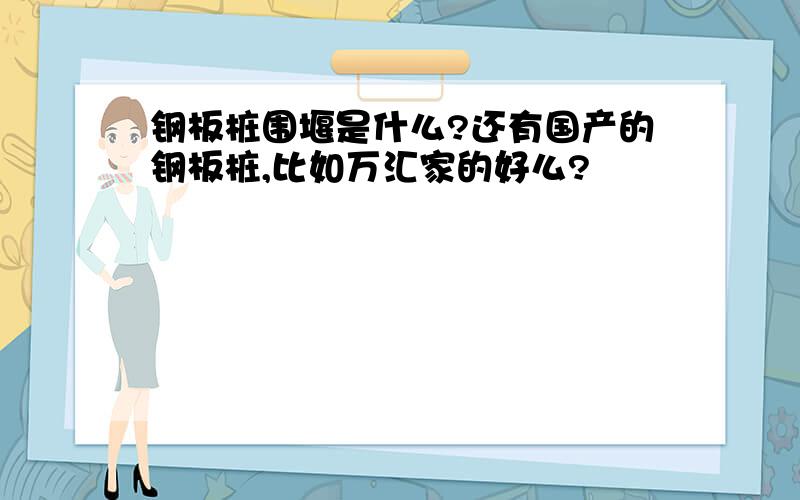 钢板桩围堰是什么?还有国产的钢板桩,比如万汇家的好么?