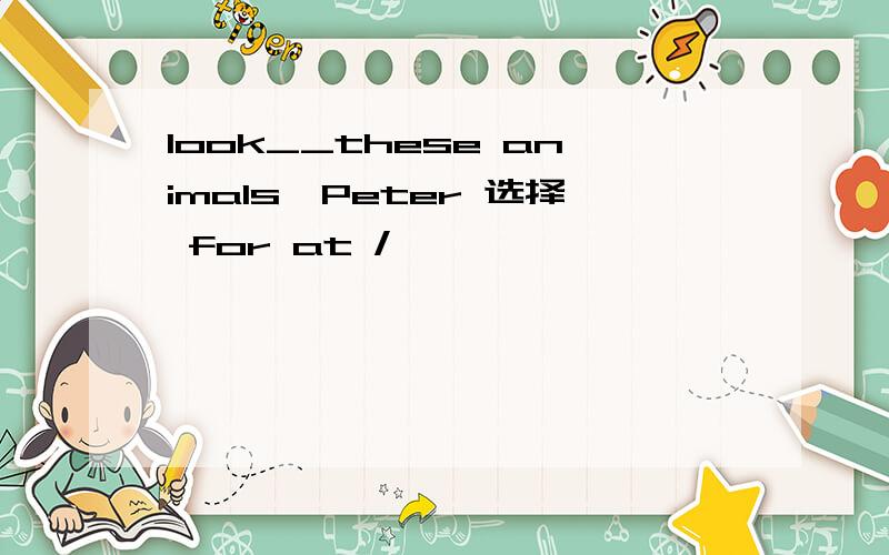 look__these animals,Peter 选择 for at /