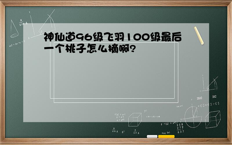 神仙道96级飞羽100级最后一个桃子怎么摘啊?