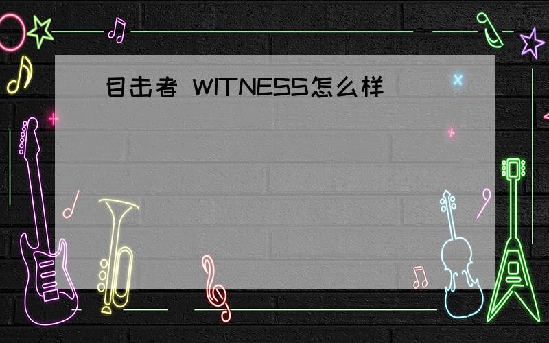 目击者 WITNESS怎么样