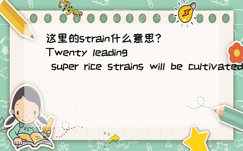 这里的strain什么意思?Twenty leading super rice strains will be cultivated by 2010,he said.