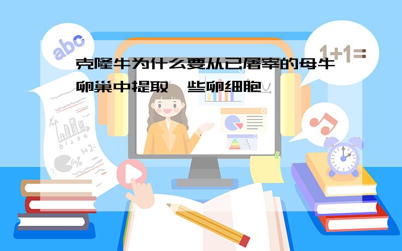 克隆牛为什么要从已屠宰的母牛卵巢中提取一些卵细胞