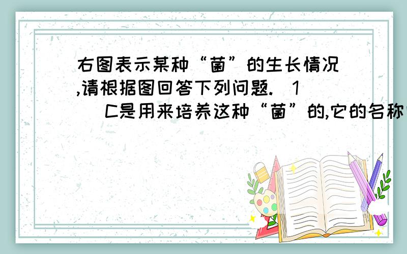 右图表示某种“菌”的生长情况,请根据图回答下列问题.(1) C是用来培养这种“菌”的,它的名称叫___________.(2)这种“菌”会长出两种菌线,一种是生长在C中的基内菌丝,另一种是生长在空气中