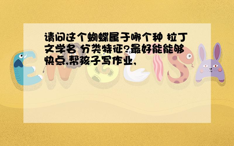 请问这个蝴蝶属于哪个种 拉丁文学名 分类特征?最好能能够快点,帮孩子写作业,