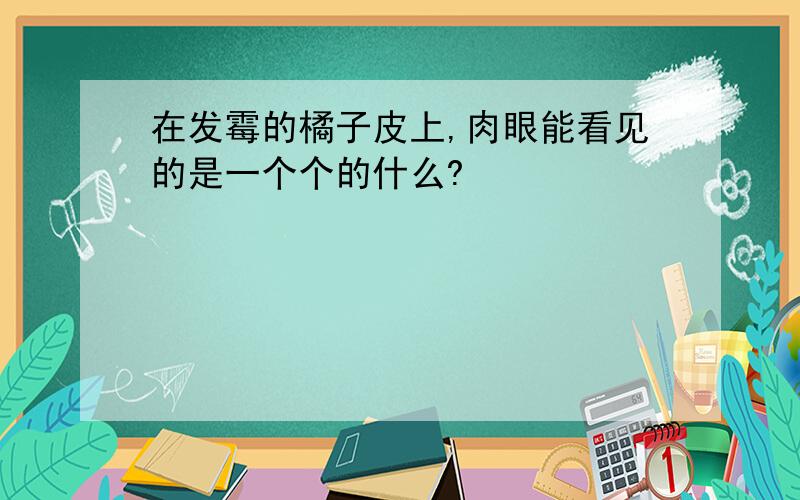 在发霉的橘子皮上,肉眼能看见的是一个个的什么?