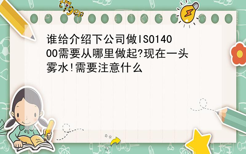 谁给介绍下公司做ISO14000需要从哪里做起?现在一头雾水!需要注意什么