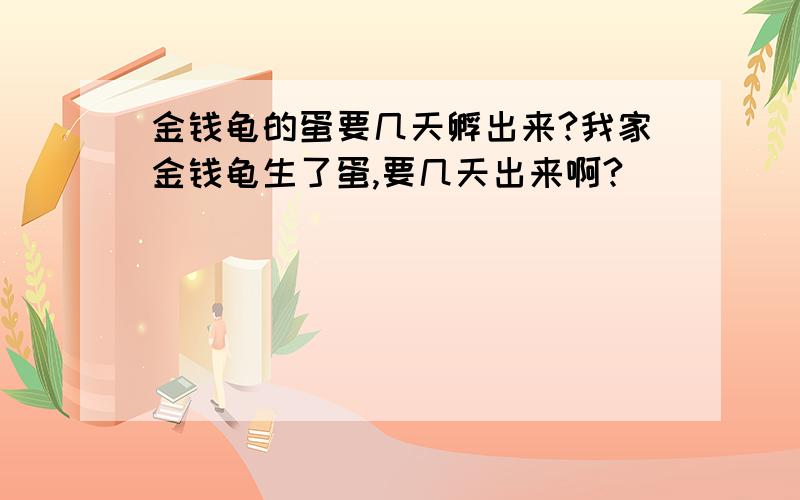 金钱龟的蛋要几天孵出来?我家金钱龟生了蛋,要几天出来啊?