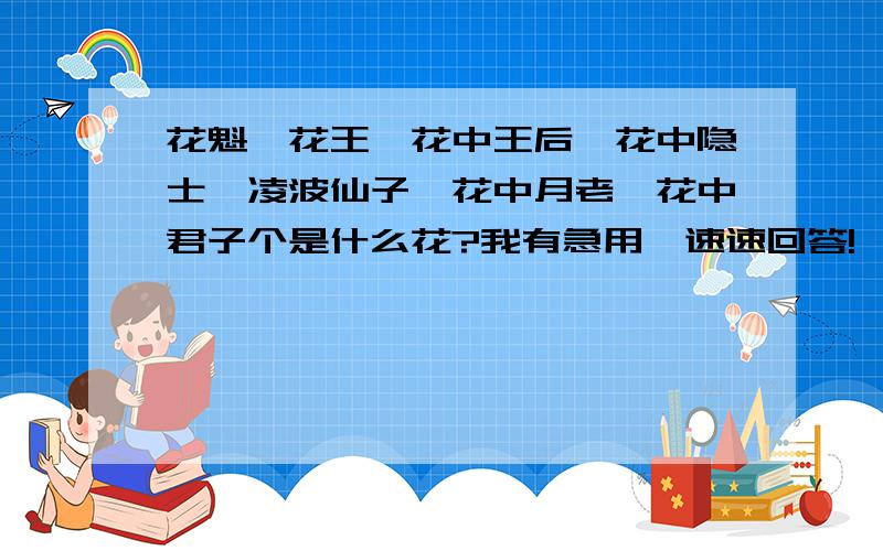 花魁,花王,花中王后,花中隐士,凌波仙子,花中月老,花中君子个是什么花?我有急用,速速回答!