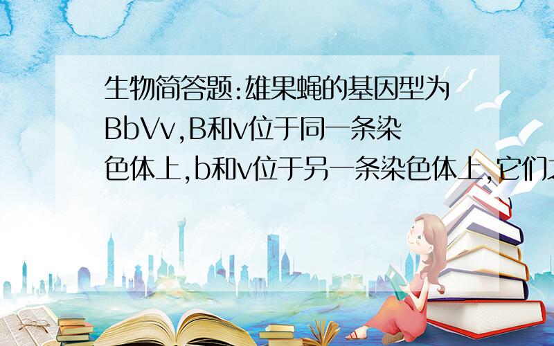 生物简答题:雄果蝇的基因型为BbVv,B和v位于同一条染色体上,b和v位于另一条染色体上,它们之间交换,请问(1)它们产生多少种雄配子?(2)配子的类型是什么?(3)符合基因型的什么规律?