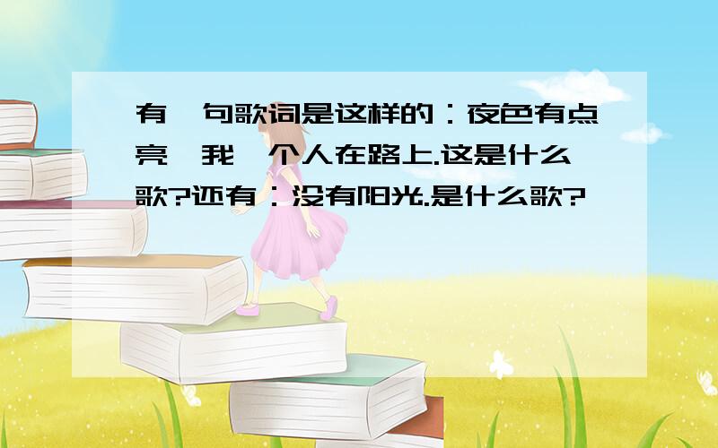 有一句歌词是这样的：夜色有点亮,我一个人在路上.这是什么歌?还有：没有阳光.是什么歌?