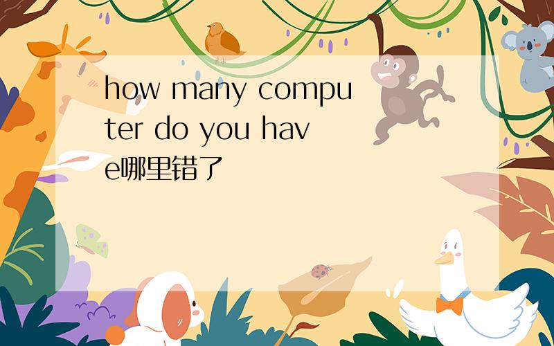 how many computer do you have哪里错了