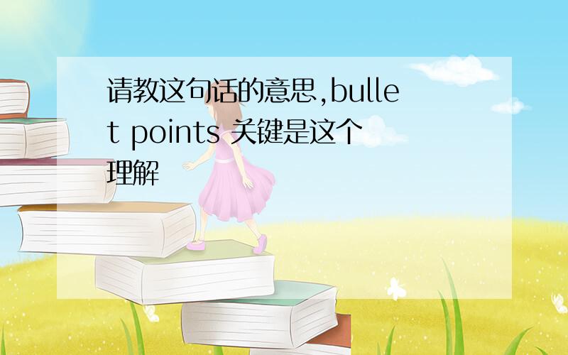 请教这句话的意思,bullet points 关键是这个理解