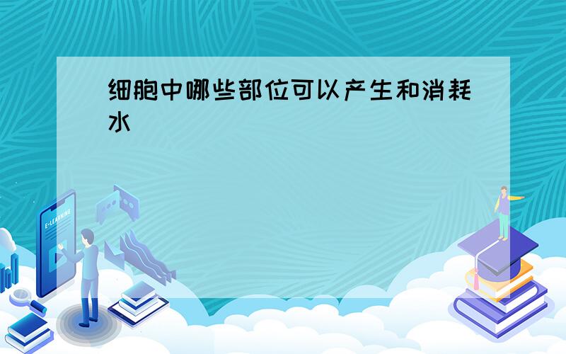 细胞中哪些部位可以产生和消耗水