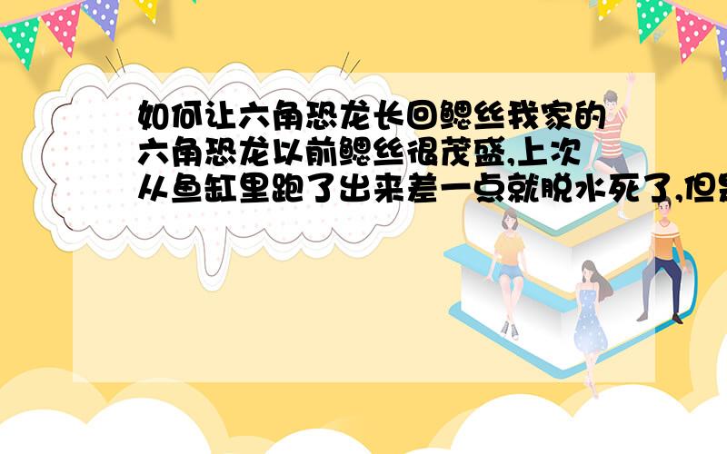 如何让六角恐龙长回鳃丝我家的六角恐龙以前鳃丝很茂盛,上次从鱼缸里跑了出来差一点就脱水死了,但是鳃丝基本上没有了而且没有活力,应该怎么办才能让它长回鳃丝