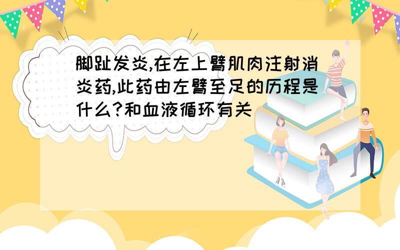 脚趾发炎,在左上臂肌肉注射消炎药,此药由左臂至足的历程是什么?和血液循环有关