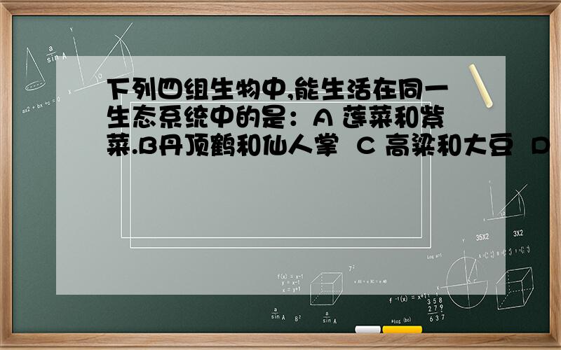 下列四组生物中,能生活在同一生态系统中的是：A 莲菜和紫菜.B丹顶鹤和仙人掌  C 高粱和大豆  D 猎豹和猕猴桃