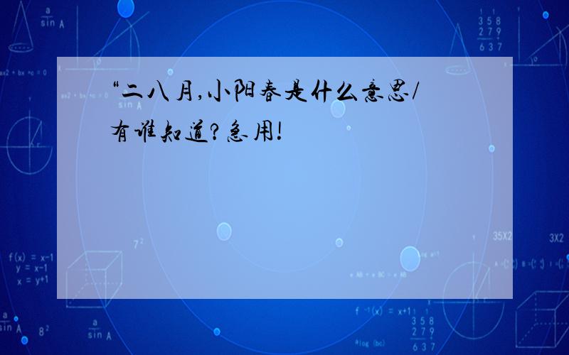 “二八月,小阳春是什么意思/有谁知道?急用!