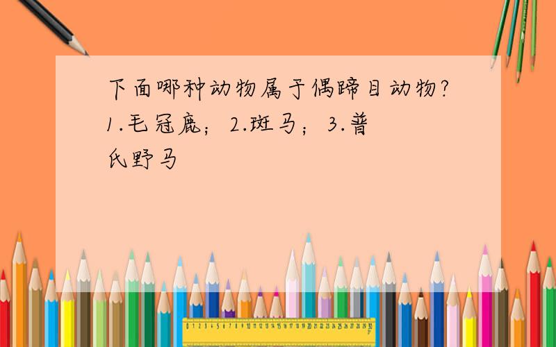 下面哪种动物属于偶蹄目动物?1.毛冠鹿；2.斑马；3.普氏野马