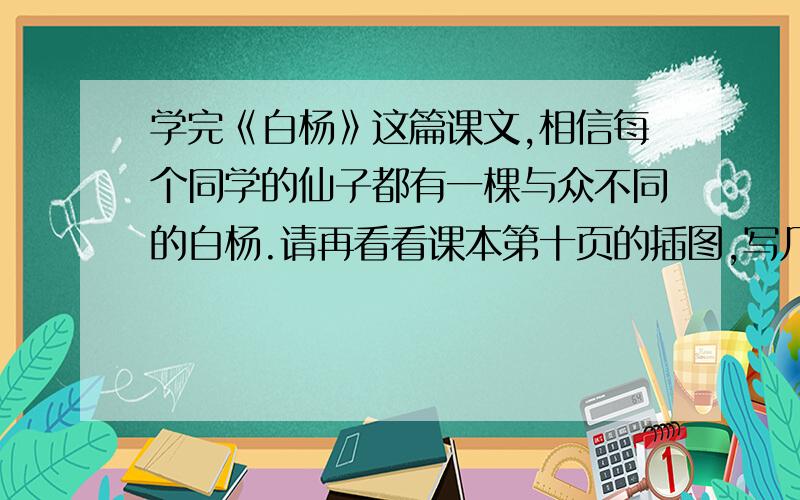 学完《白杨》这篇课文,相信每个同学的仙子都有一棵与众不同的白杨.请再看看课本第十页的插图,写几句话写几句话,让你的感情流淌出来.要优美的句子,四五句左右,如果语句优美,