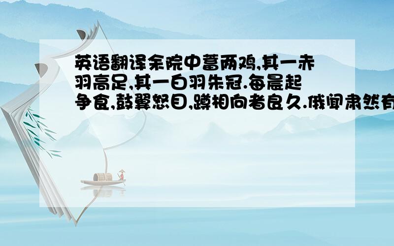 英语翻译余院中蓄两鸡,其一赤羽高足,其一白羽朱冠.每晨起争食,鼓翼怒目,蹲相向者良久.俄闻肃然有声,方丈之内,内起尘扬,腾蹴 啄,皆血淋漓染翮距,犹不退,然白羽气少惫矣.余惧其两毙也,呼