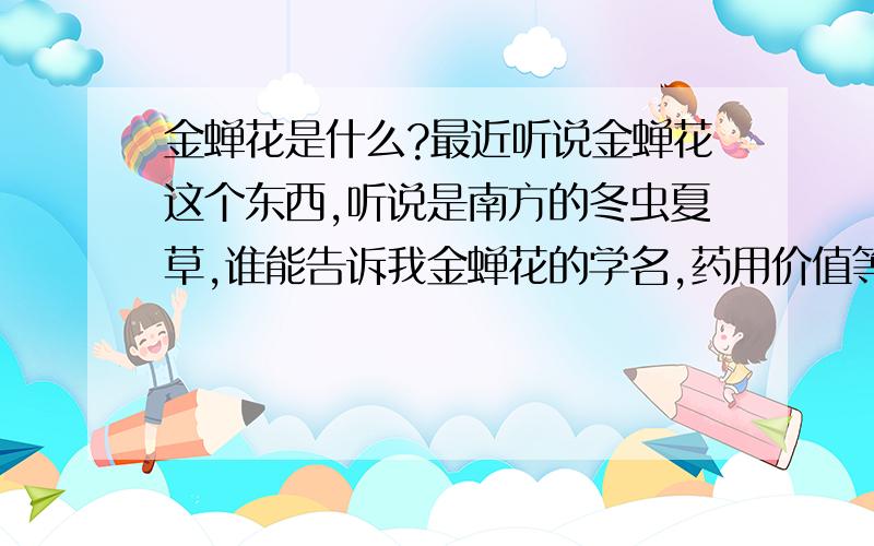 金蝉花是什么?最近听说金蝉花这个东西,听说是南方的冬虫夏草,谁能告诉我金蝉花的学名,药用价值等等