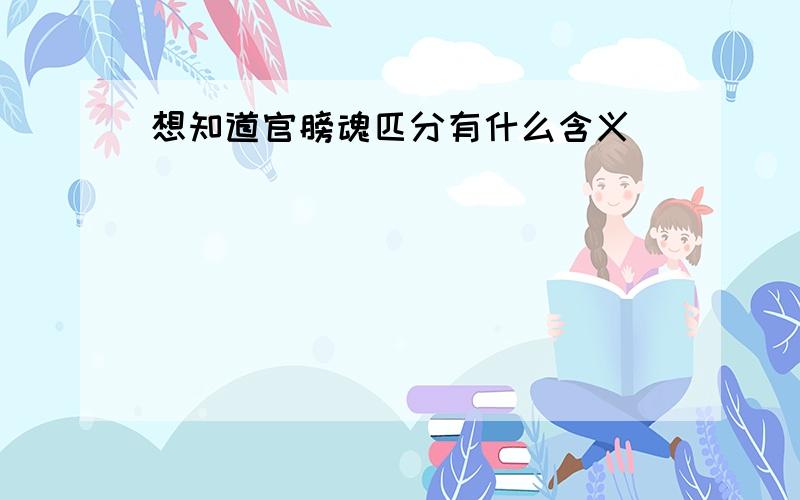 想知道官膀魂匹分有什么含义