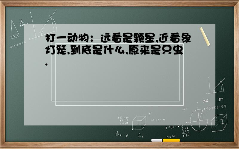 打一动物：远看是颗星,近看象灯笼,到底是什么,原来是只虫.