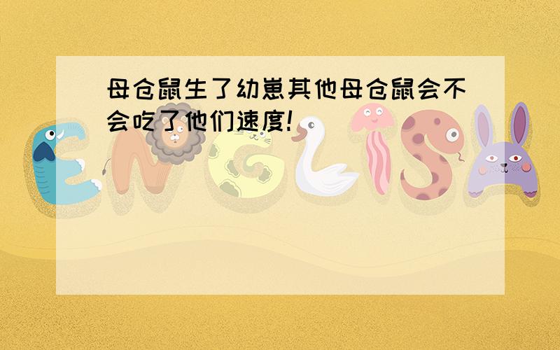 母仓鼠生了幼崽其他母仓鼠会不会吃了他们速度!