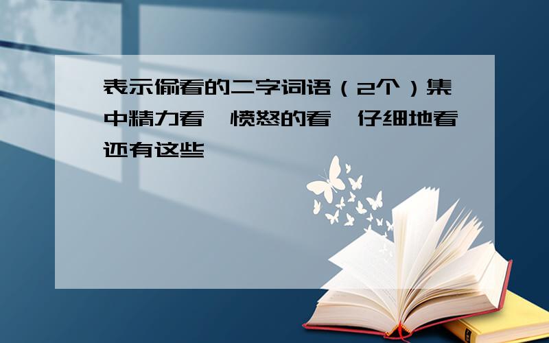 表示偷看的二字词语（2个）集中精力看、愤怒的看、仔细地看还有这些