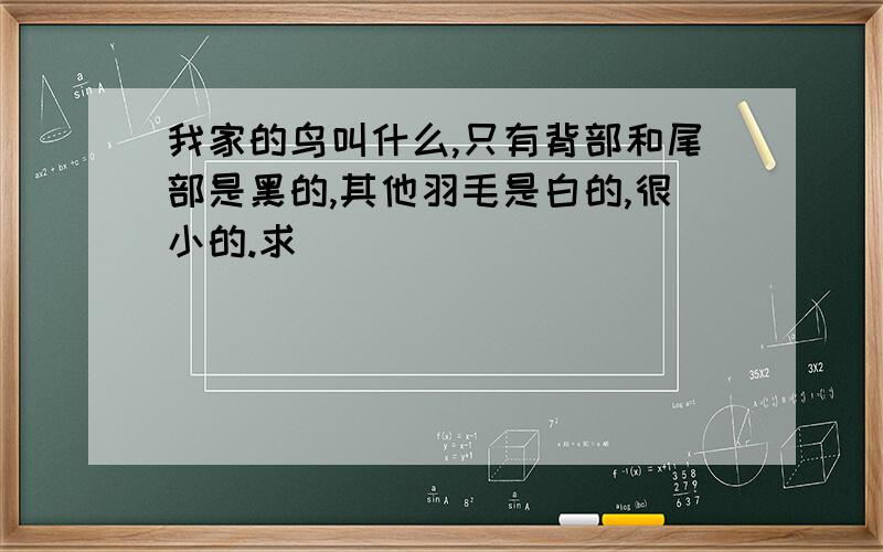 我家的鸟叫什么,只有背部和尾部是黑的,其他羽毛是白的,很小的.求