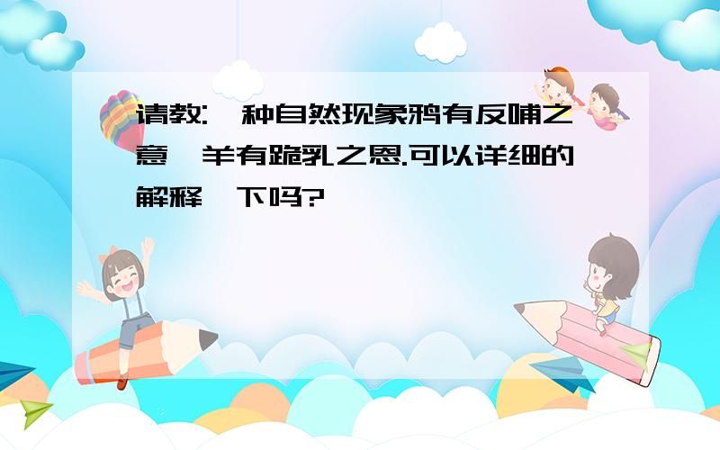 请教:一种自然现象鸦有反哺之意,羊有跪乳之恩.可以详细的解释一下吗?