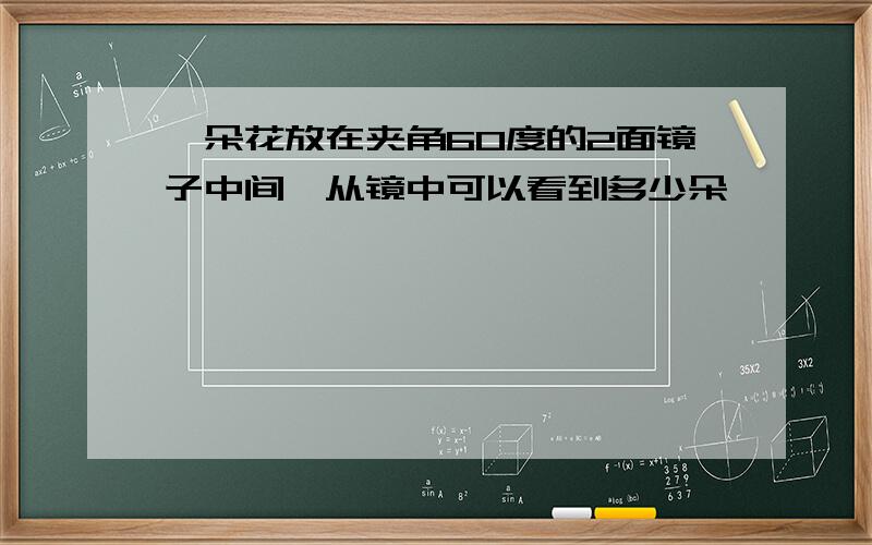 一朵花放在夹角60度的2面镜子中间,从镜中可以看到多少朵