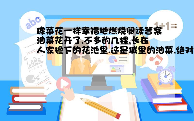 像菜花一样幸福地燃烧阅读答案油菜花开了,不多的几棵,长在人家檐下的花池里.这是城里的油菜,绝对不是