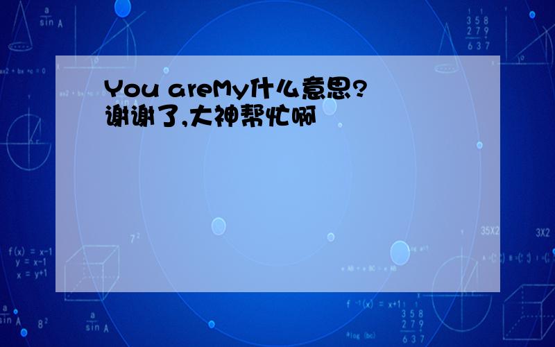 You areMy什么意思?谢谢了,大神帮忙啊