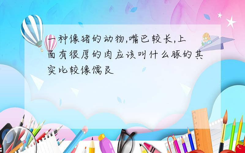 一种像猪的动物,嘴巴较长,上面有很厚的肉应该叫什么豚的其实比较像儒艮