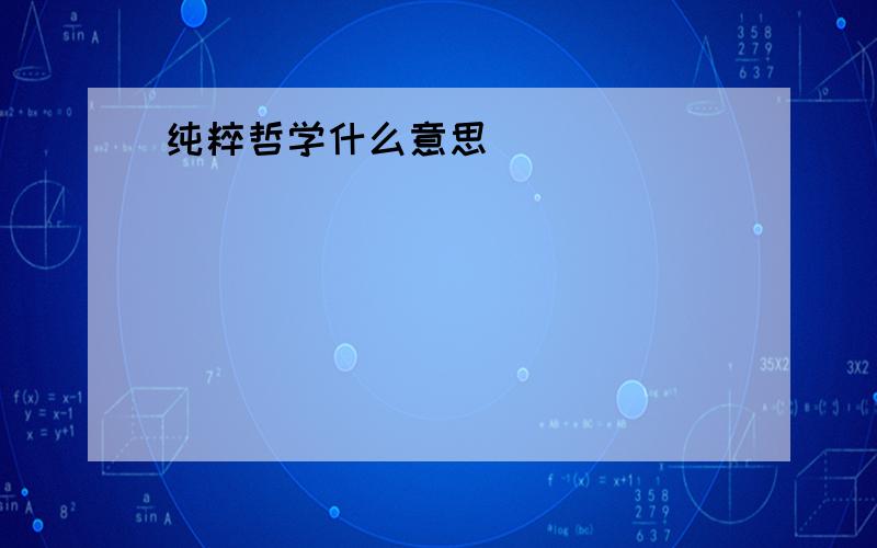 纯粹哲学什么意思