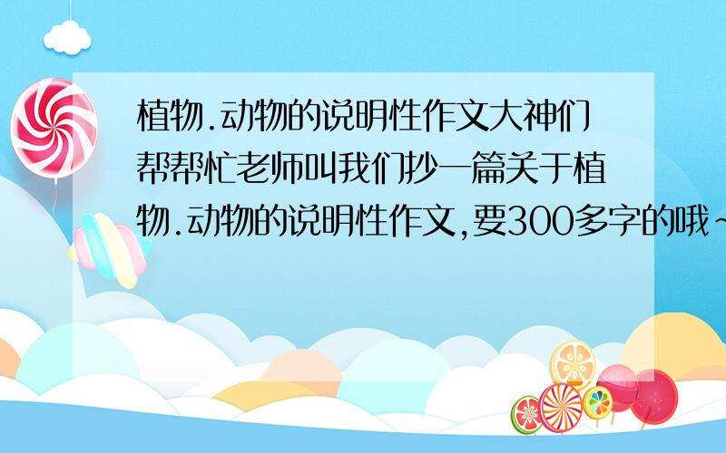 植物.动物的说明性作文大神们帮帮忙老师叫我们抄一篇关于植物.动物的说明性作文,要300多字的哦~