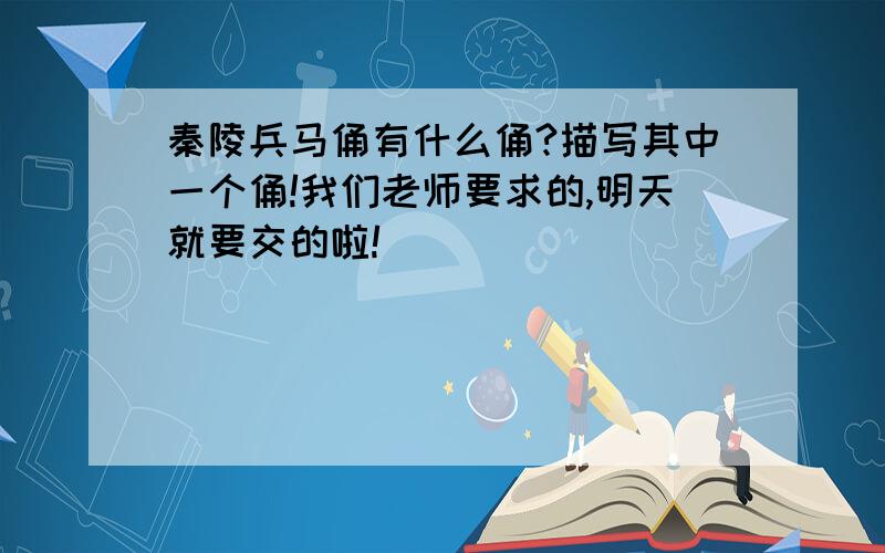 秦陵兵马俑有什么俑?描写其中一个俑!我们老师要求的,明天就要交的啦!