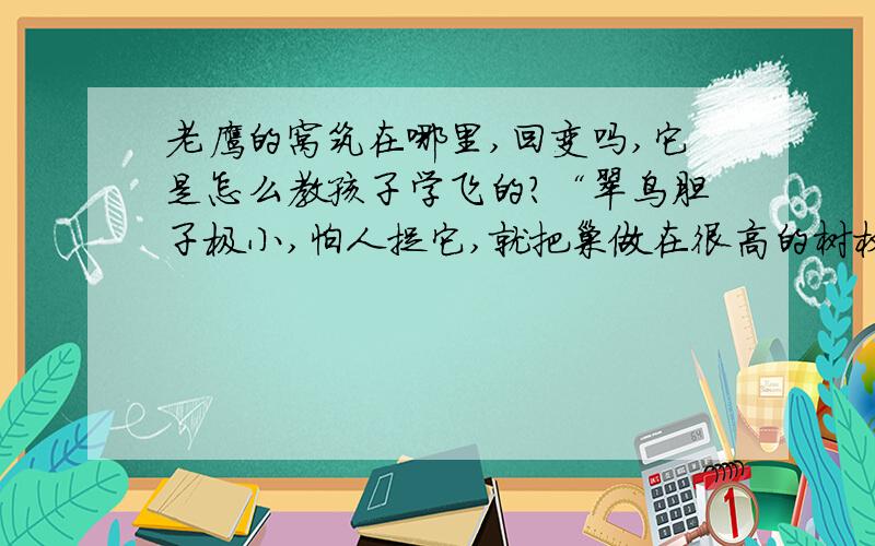 老鹰的窝筑在哪里,回变吗,它是怎么教孩子学飞的?“翠鸟胆子极小,怕人捉它,就把巢做在很高的树杈上.可生了蛋后,又怕蛋从窝里滑下跌破,就造个较低的新巢,把蛋搬到新巢去.小鸟们孵出来了