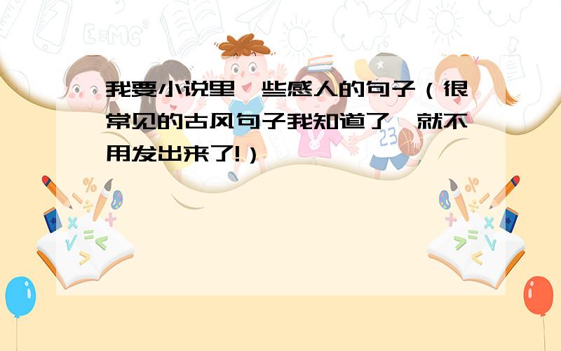 我要小说里一些感人的句子（很常见的古风句子我知道了,就不用发出来了!）