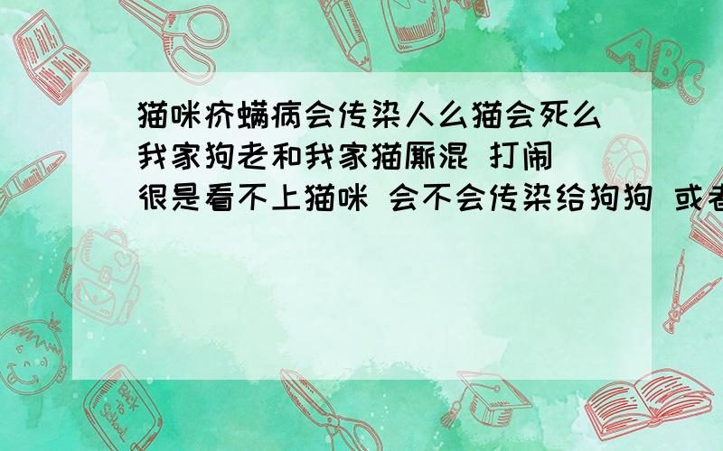 猫咪疥螨病会传染人么猫会死么我家狗老和我家猫厮混 打闹 很是看不上猫咪 会不会传染给狗狗 或者传染给人啊 我家最开始得病的那只猫 已经死了 不知道她是冻死的 还是得病死了 我还摸